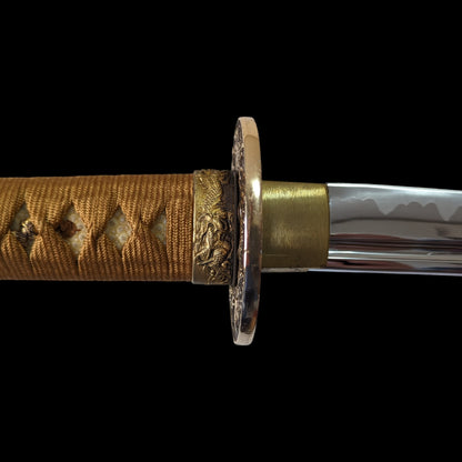 Daishō Unkai - iaito katana and wakizashi Bo-hi