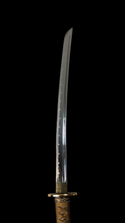 Daishō Unkai - iaito katana and wakizashi Bo-hi