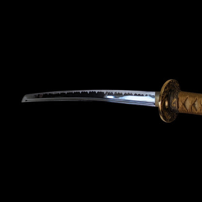Daishō Unkai - iaito katana and wakizashi Bo-hi