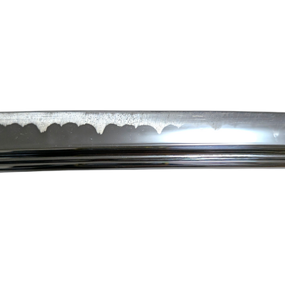 Daishō Unkai - iaito katana and wakizashi Bo-hi